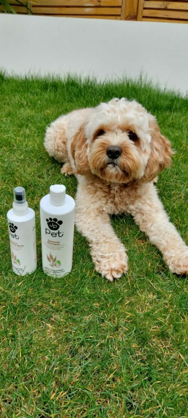 Introducing John Paul Pet Headmasters