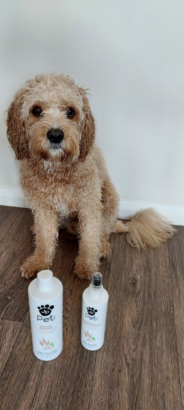 Introducing John Paul Pet Headmasters